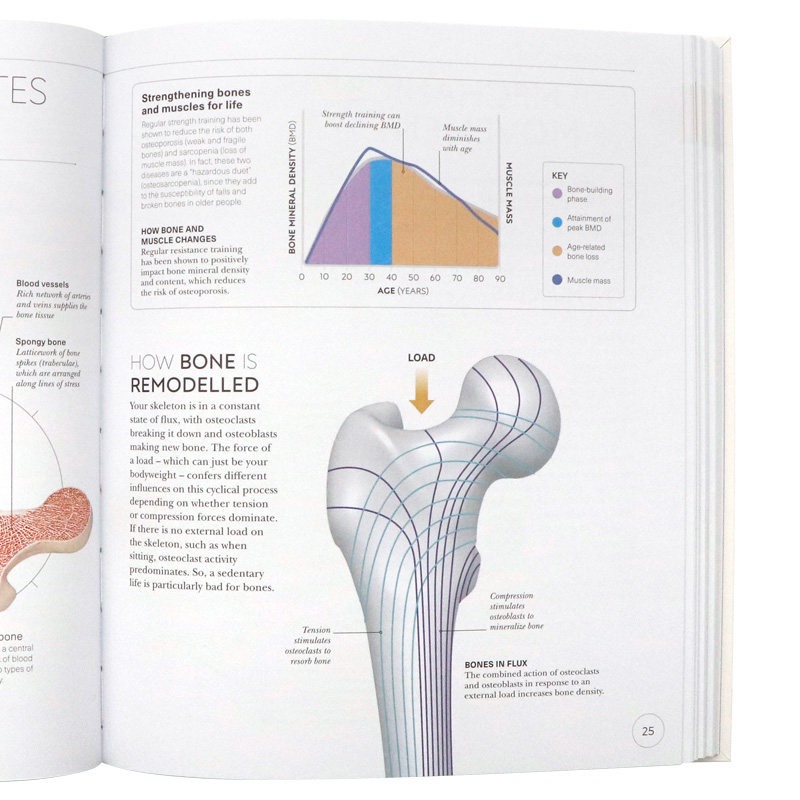 Nutrition Workout - Science of Strength Training English Original