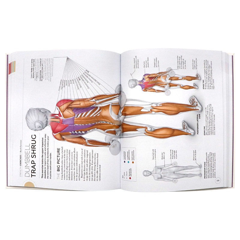 Science of Strength Training E - Nutrition Workout 评论和价格