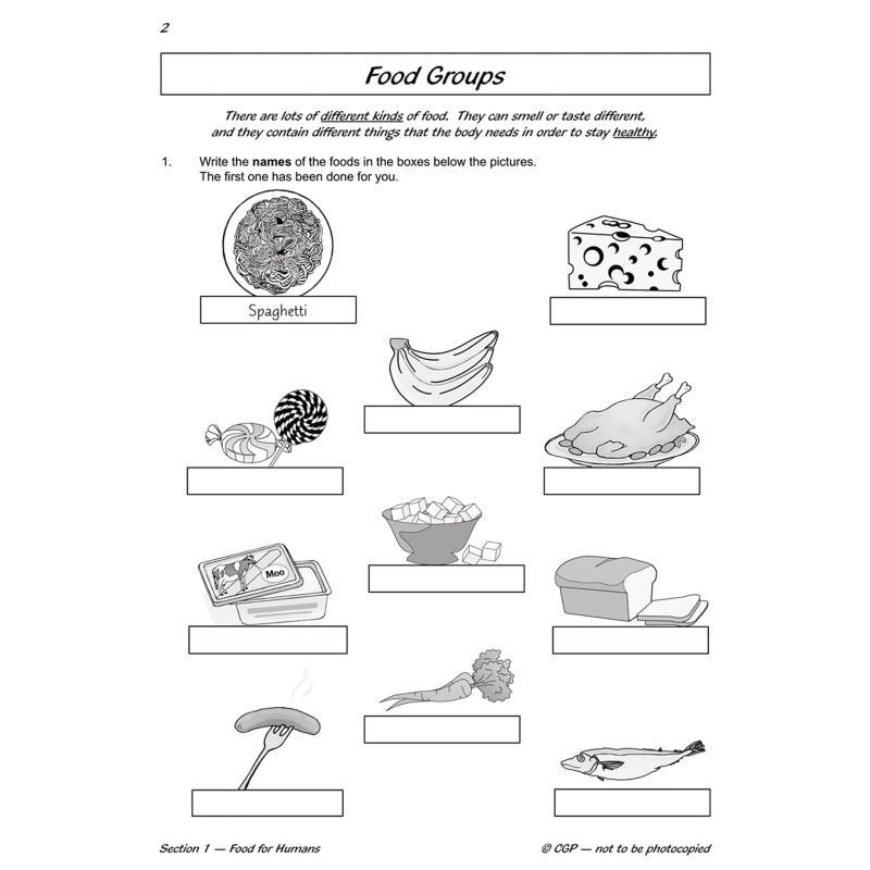 KS2 Science Year Three Workout - Nutrition Workout 评论和价格