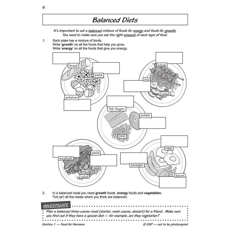 KS2 Science Year Three Workout - Nutrition Workout 评论和价格