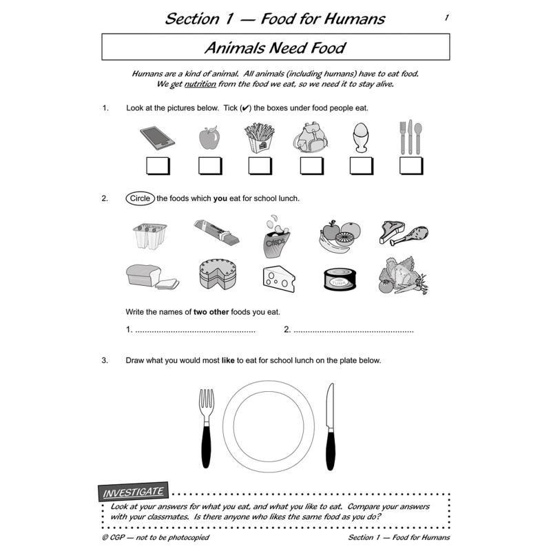 KS2 Science Year Three Workout - Nutrition Workout 评论和价格